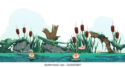 Swamp reed illustration. Cartoon marsh background with cattail plants, moss rocks and log, countryside wetland or lake. Vector illustration. Pond or rover with seasonal nature scene