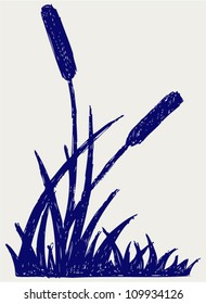 Swamp sketch