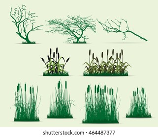 Swamp Trees Vector Pack