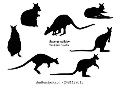 Swamp wallaby ( Wallabia bicolor ) isolated black icons