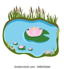 Swamp with water lilies and reeds. Vector illustration.