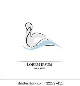 Swan