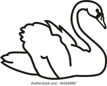 Swan