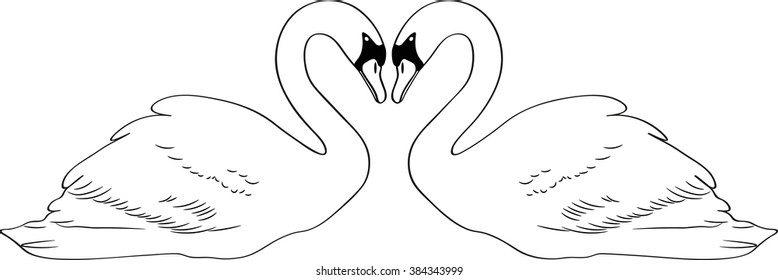 swan