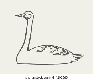 swan