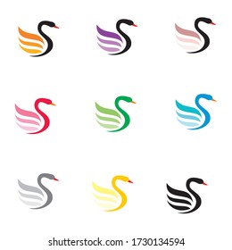 Cámbiate con 3 plumas y color diferente