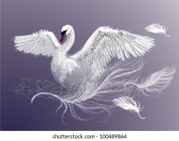 SWAN / Beautiful white bird dance