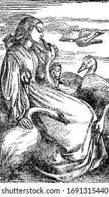 Swan bird with crown kissing a female and other swan birds with crowns around her, vintage line drawing or engraving illustration