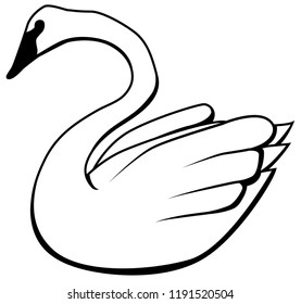 Swan bird drawing, vector, horizontal line drawing, over white, isolated