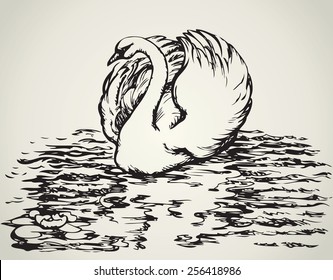 Swan are bird of the family Anatidae within the genus Cygnus. Vector monochrome freehand ink drawn background sketchy in art scribble antiquity style pen on paper with space for text