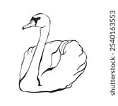 Swan bird on water surface in continuous line art drawing style. Black linear sketch isolated on white background. Vector illustration