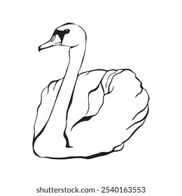 Pássaro de cisne na superfície da água em estilo de desenho de arte de linha contínua. Esboço linear preto isolado em fundo branco. Ilustração vetorial