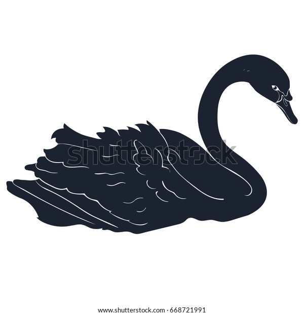 Swan Bird Silhouette Swims Vector Illustration Stock Vector (Royalty ...