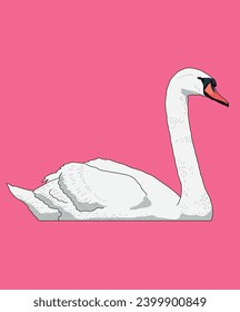 Swan Bird Swimming Side View