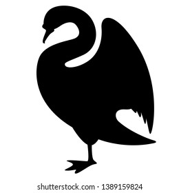 swan bird, vector illustration. black silhouette, profile side.