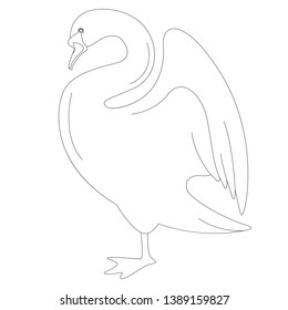 swan bird, vector illustration. lining draw. profile side.