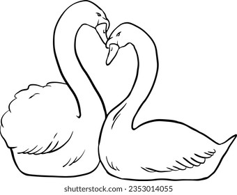 Swan birds line art illustration.