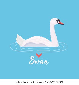Swan. Blue background. Beautiful bird. Vector illustration in flat style.