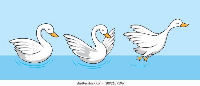 Swan Cartoon Goose Cute Illustrations Set Collections