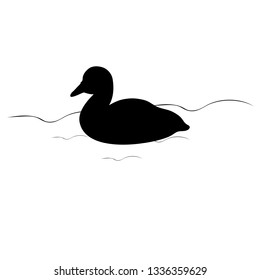 Swan chick bird black silhouette animal. Vector Illustrator.