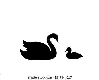 Swan chick bird black silhouette animal. 