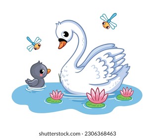 Swan with a chick swims in a pond. Vector illustration with birds in cartoon style.