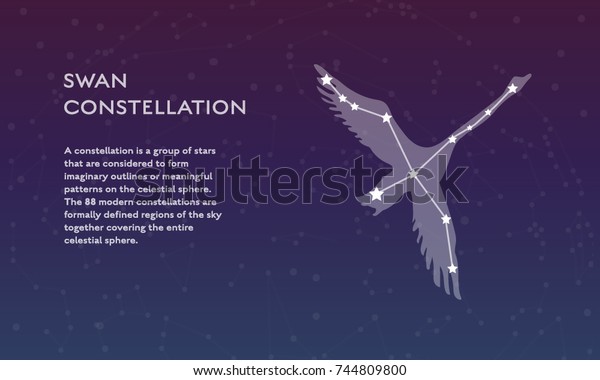 Swan Constellation Vector Sign Silhouette Modern Stock Vector (Royalty ...