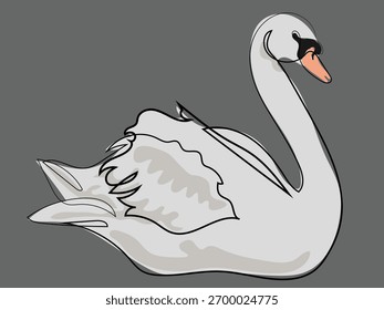 Swan in continuous line drawing