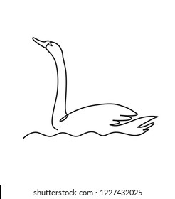 Swan continuous one line vector drawing. Bird floating on water. Hand drawn wildlife animal. Fauna. Swan lake. Thin line waterbird specie drawing. Minimalistic contour illustration