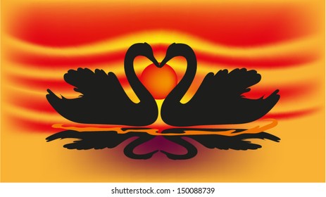 Swan couple in lake.vector