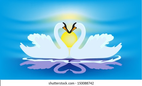 Swan couple in lake.vector