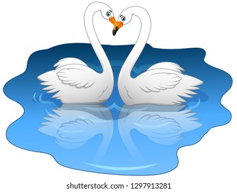  Swan couples on the lake