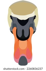 Swan face. An illustration of the muzzle of a platypus bird is depicted. Bright portrait on a white background. Vector graphics. feathered logo