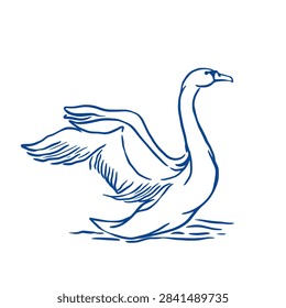 Swan Flapping Wings. Hand-drawn line art vector illustration of a mute swan spreading and flapping its wings while floating on water. Minimalist blue outline design on a white background,