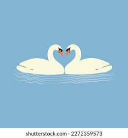 Swan floating on the water-Vector Art Work