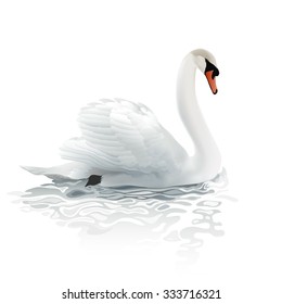 Swan.
Hand drawn vector illustration of a mute swan resting on the surface of a rippled water, surrounded by bright morning light.