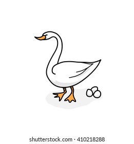 Swan, a hand drawn vector illustration of a white swan with its eggs.