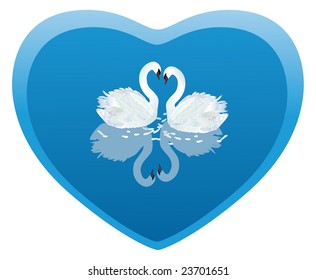Swan Heart,two swans
