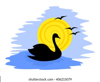 swan illustration