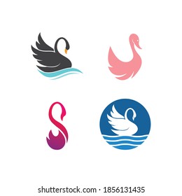 Swan illustration logo design template
