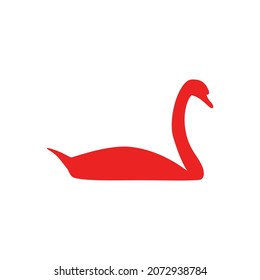 Swan isolated on white background