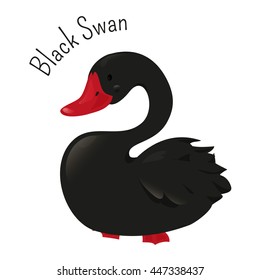 Swan isolated on white. Cygnus atratus. Large waterbird. Bird with black plumage and red bills. Cartoon character. Part of series of various australian animal species. Wildlife concept. Vector