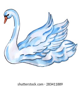 Swan with lift wings isolated on white background,  watercolor vector illustration