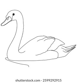 Swan line art vector design. Swan outline illustration design.
