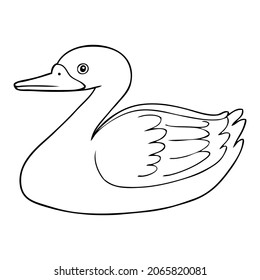swan line vector illustration,isolated on white background,top view