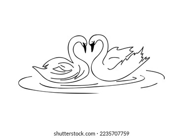 Doodle lineal de cisne, dibujo a mano aislado sobre fondo blanco. Ave de amor, concepto romántico