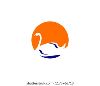 swan logo abstract design vector template