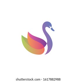 swan logo, animal design, vector element template
