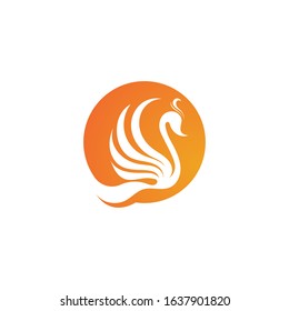 Swan logo Premium and symbol Vector 