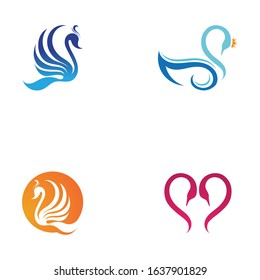 Swan logo Premium and symbol Vector 